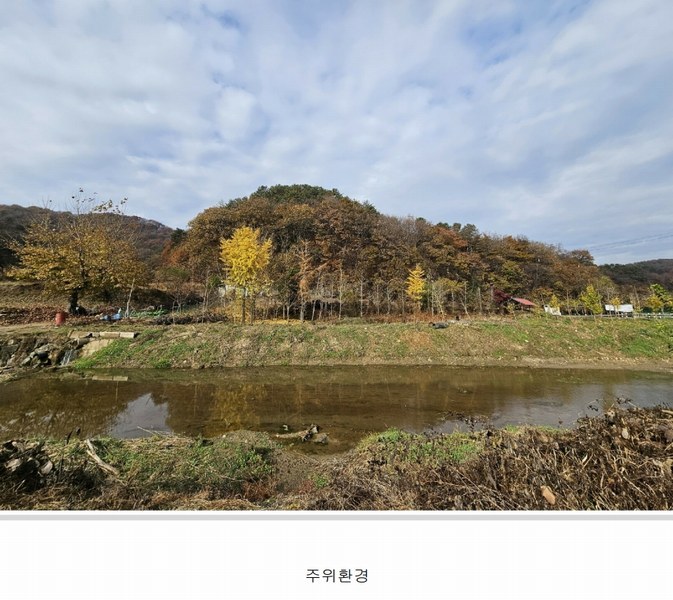 2024타경121746 세종특별자치시 전동면 노장리 505 농지 경매 이미지