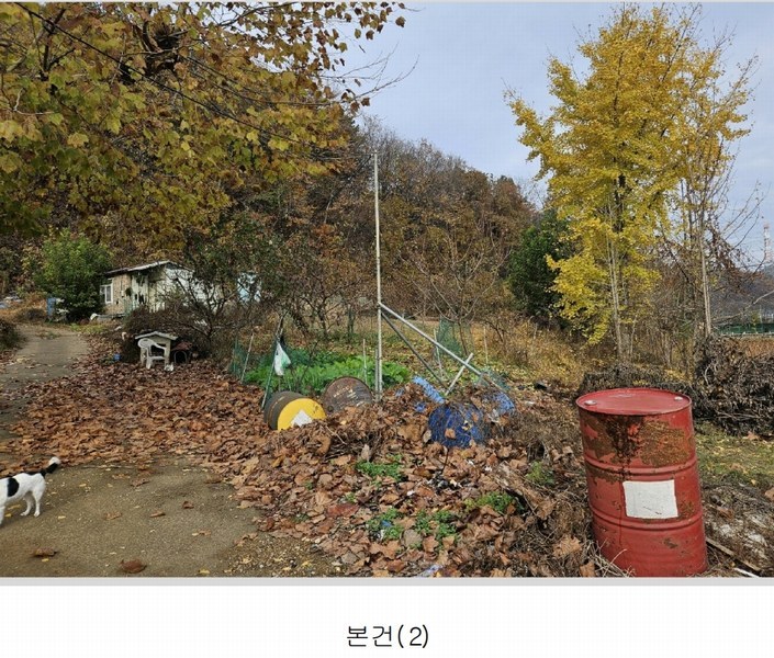 2024타경121746 세종특별자치시 전동면 노장리 505 농지 경매 이미지