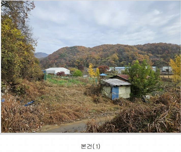 2024타경121746 세종특별자치시 전동면 노장리 505 농지 경매 이미지