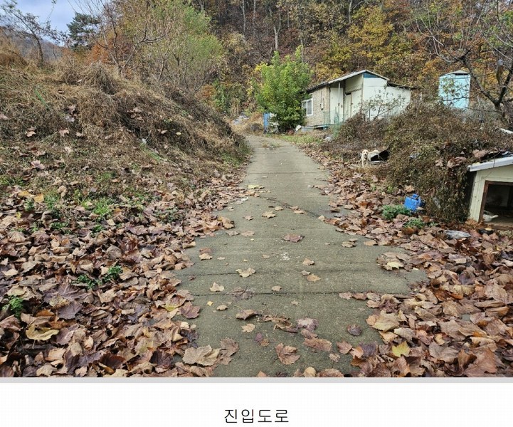 2024타경121746 세종특별자치시 전동면 노장리 505 농지 경매 이미지