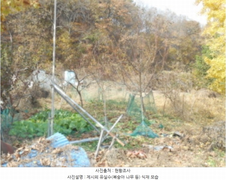 2024타경121746 세종특별자치시 전동면 노장리 505 농지 경매 이미지