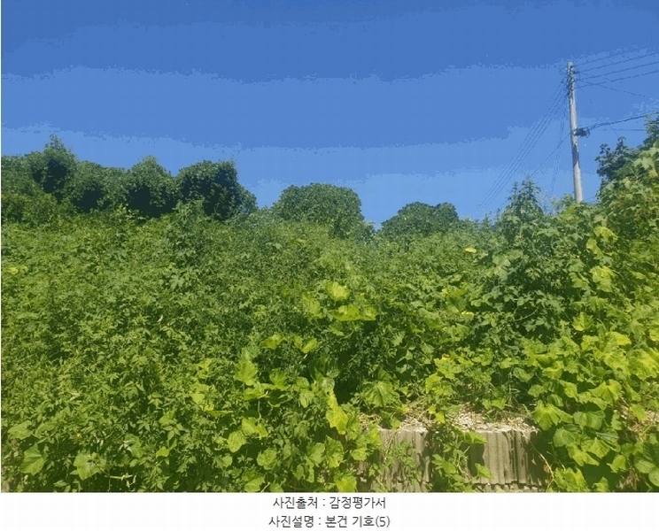 2025타경10660 경상북도 경주시 감포읍 감포리 419 농지 경매 이미지