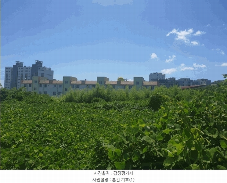 2025타경10660 경상북도 경주시 감포읍 감포리 419 농지 경매 이미지