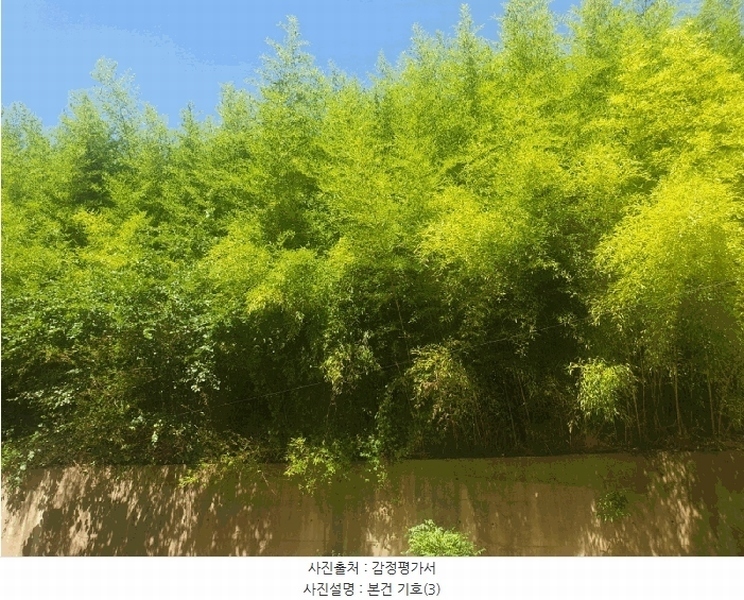 2025타경10660 경상북도 경주시 감포읍 감포리 419 농지 경매 이미지