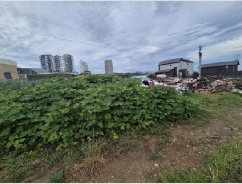 2025타경10660 경상북도 경주시 감포읍 감포리 419 농지 경매 이미지