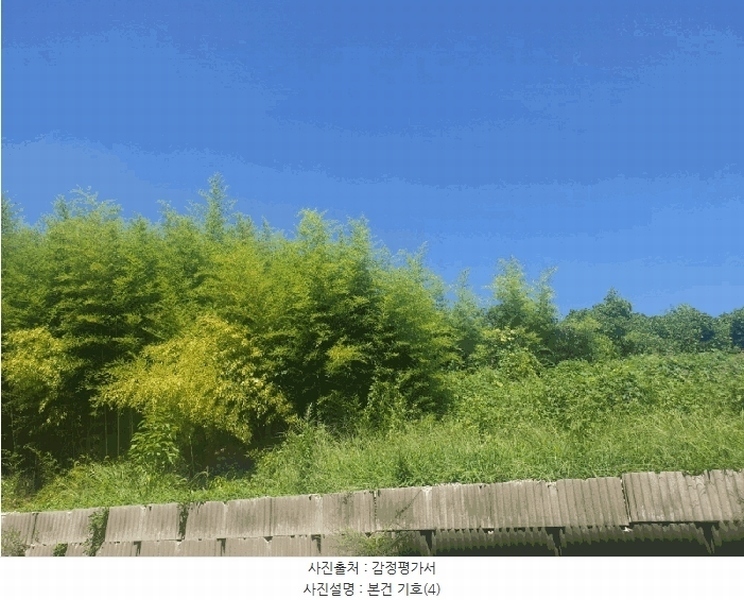 2025타경10660 경상북도 경주시 감포읍 감포리 419 농지 경매 이미지