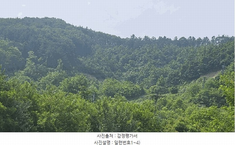 2025타경3549 충청남도 금산군 제원면 천내리 196-7 임야 경매 이미지