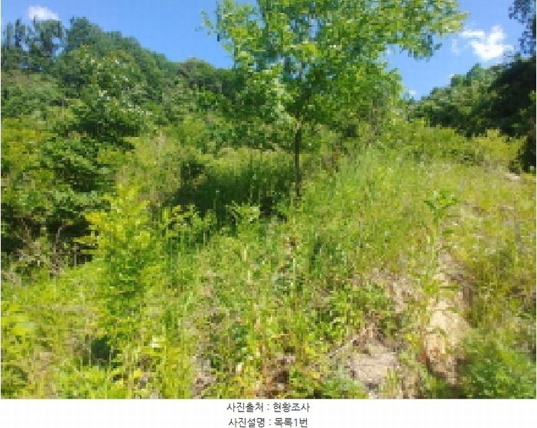 2025타경3549 충청남도 금산군 제원면 천내리 196-7 임야 경매 이미지