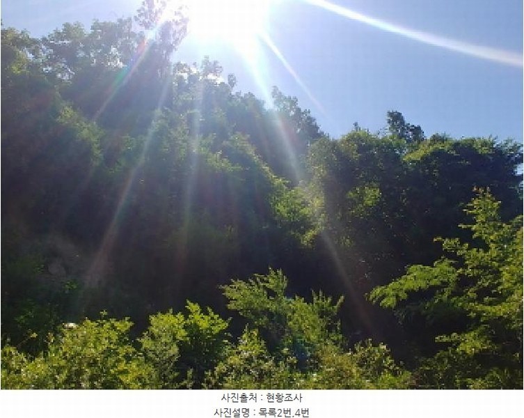 2025타경3549 충청남도 금산군 제원면 천내리 196-7 임야 경매 이미지