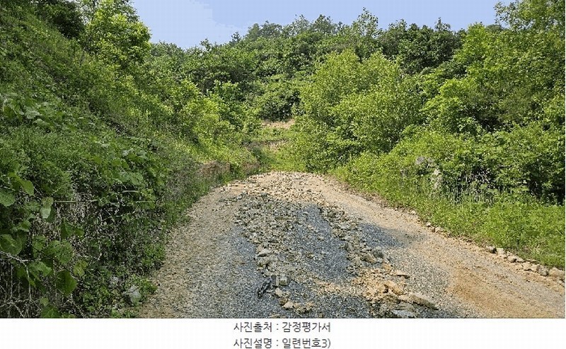 2025타경3549 충청남도 금산군 제원면 천내리 196-7 임야 경매 이미지