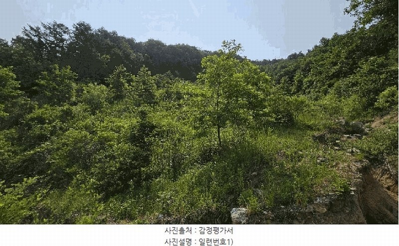 2025타경3549 충청남도 금산군 제원면 천내리 196-7 임야 경매 이미지