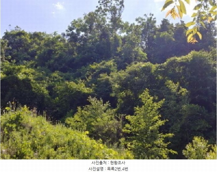 2025타경3549 충청남도 금산군 제원면 천내리 196-7 임야 경매 이미지
