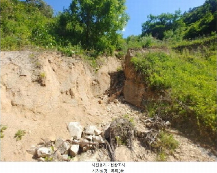 2025타경3549 충청남도 금산군 제원면 천내리 196-7 임야 경매 이미지