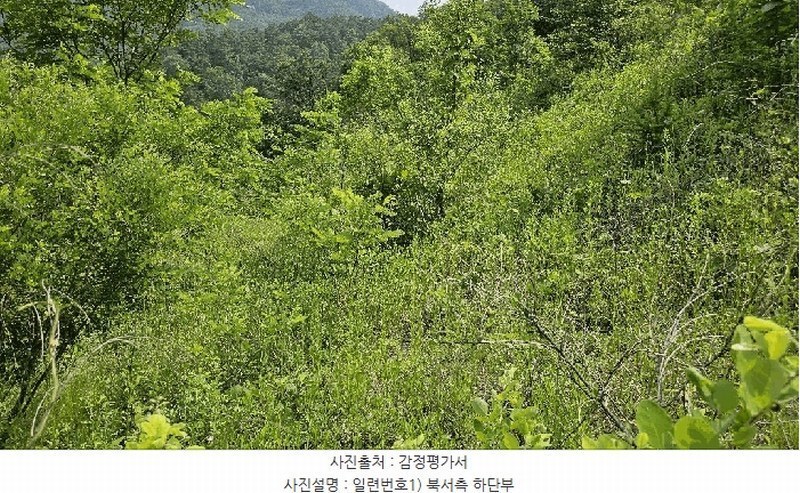 2025타경3549 충청남도 금산군 제원면 천내리 196-7 임야 경매 이미지