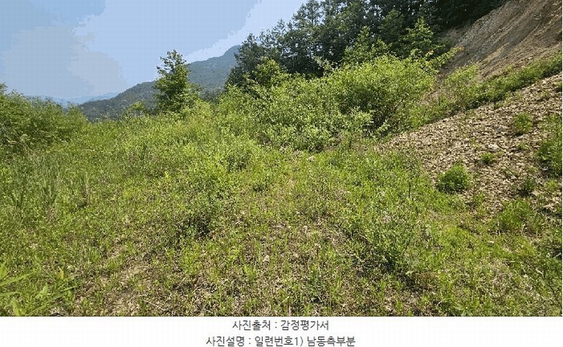 2025타경3549 충청남도 금산군 제원면 천내리 196-7 임야 경매 이미지