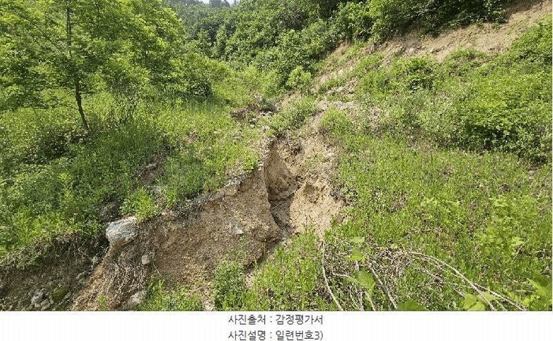 2025타경3549 충청남도 금산군 제원면 천내리 196-7 임야 경매 이미지