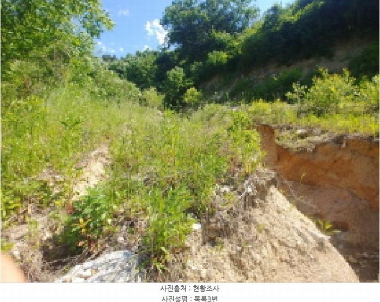 2025타경3549 충청남도 금산군 제원면 천내리 196-7 임야 경매 이미지