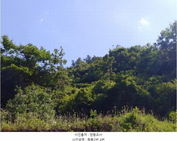 2025타경3549 충청남도 금산군 제원면 천내리 196-7 임야 경매 이미지