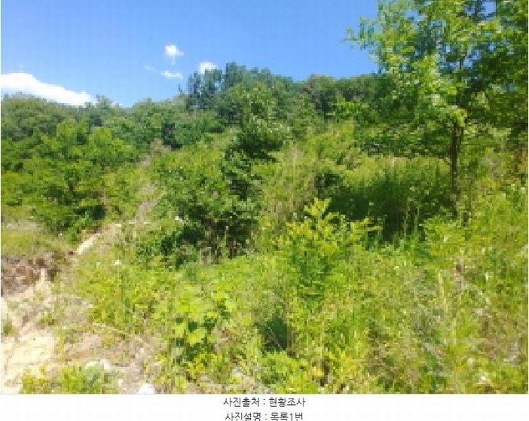 2025타경3549 충청남도 금산군 제원면 천내리 196-7 임야 경매 이미지