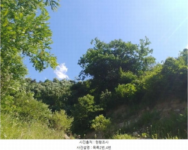 2025타경3549 충청남도 금산군 제원면 천내리 196-7 임야 경매 이미지