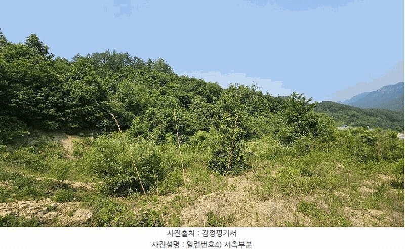 2025타경3549 충청남도 금산군 제원면 천내리 196-7 임야 경매 이미지
