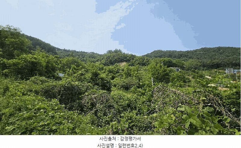 2025타경3549 충청남도 금산군 제원면 천내리 196-7 임야 경매 이미지