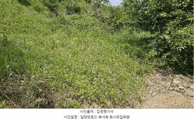 2025타경3549 충청남도 금산군 제원면 천내리 196-7 임야 경매 이미지