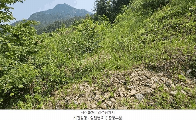 2025타경3549 충청남도 금산군 제원면 천내리 196-7 임야 경매 이미지