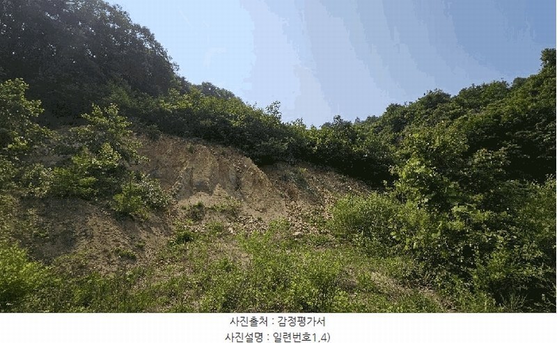 2025타경3549 충청남도 금산군 제원면 천내리 196-7 임야 경매 이미지