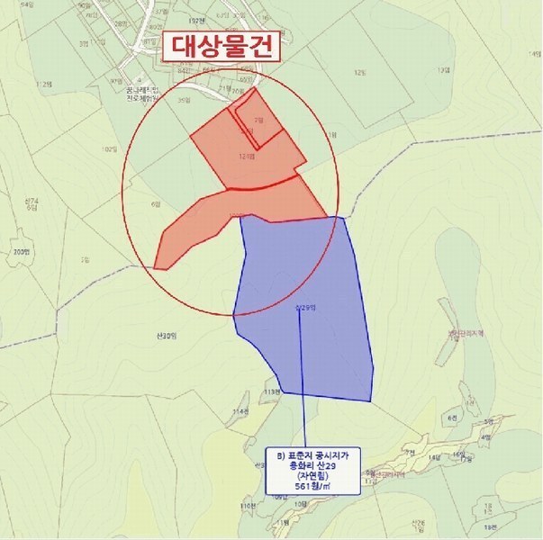 2025타경3549 충청남도 금산군 제원면 천내리 196-7 임야 경매 이미지