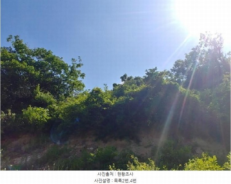 2025타경3549 충청남도 금산군 제원면 천내리 196-7 임야 경매 이미지