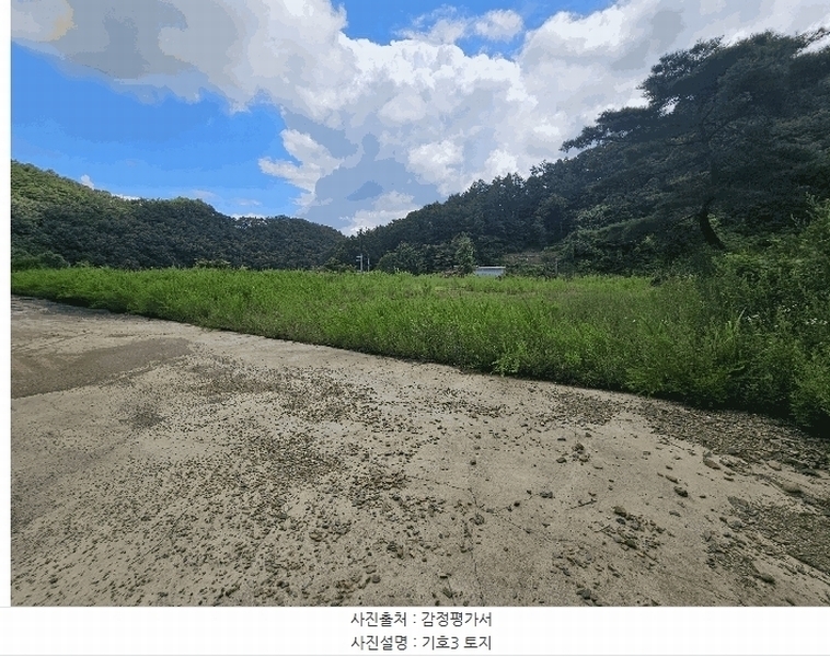 2025타경3661 충청남도 금산군 진산면 두지리 265-2 임야 경매 이미지