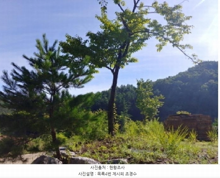 2025타경3661 충청남도 금산군 진산면 두지리 265-2 임야 경매 이미지