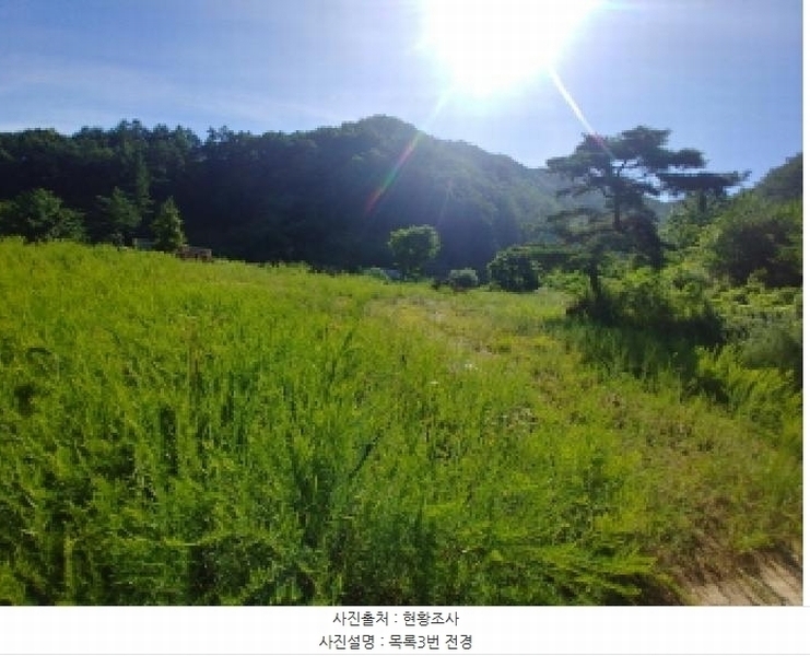 2025타경3661 충청남도 금산군 진산면 두지리 265-2 임야 경매 이미지