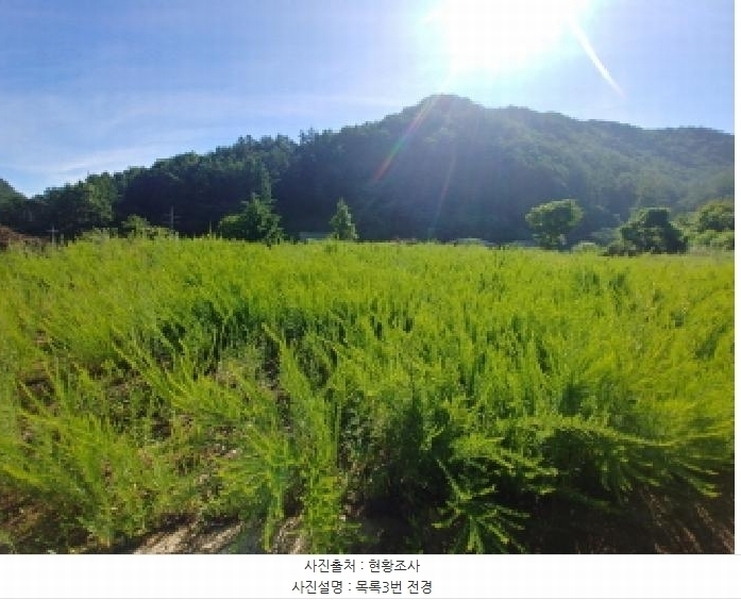 2025타경3661 충청남도 금산군 진산면 두지리 265-2 임야 경매 이미지