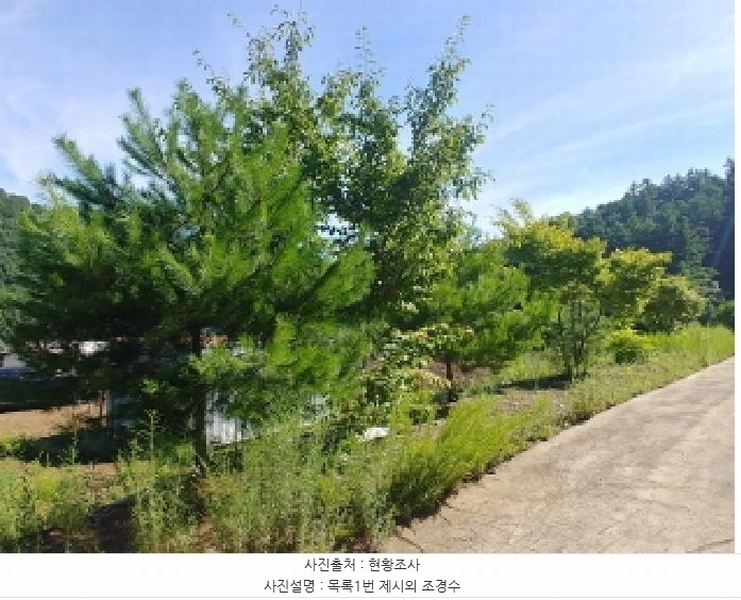 2025타경3661 충청남도 금산군 진산면 두지리 265-2 임야 경매 이미지