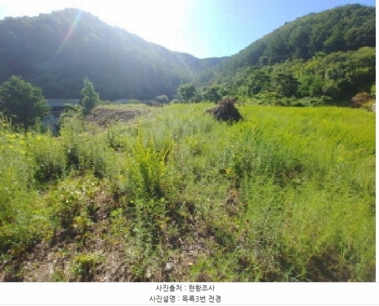 2025타경3661 충청남도 금산군 진산면 두지리 265-2 임야 경매 이미지