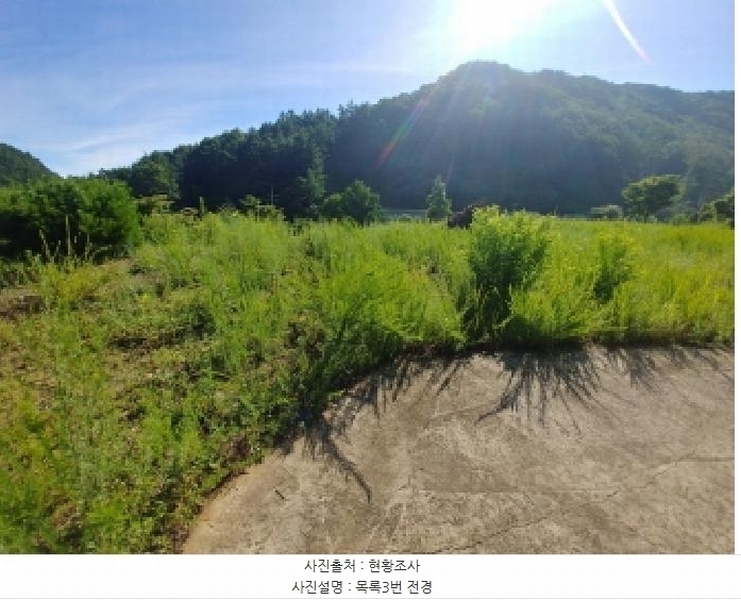 2025타경3661 충청남도 금산군 진산면 두지리 265-2 임야 경매 이미지