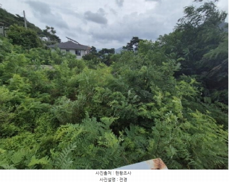2025타경3675 세종특별자치시 장군면 금암리 367-25 대지 경매 이미지