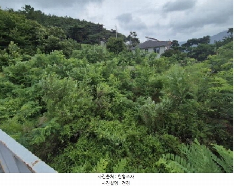 2025타경3675 세종특별자치시 장군면 금암리 367-25 대지 경매 이미지
