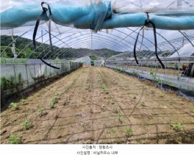 2025타경3712 대전광역시 유성구 세동 117 농지 경매 이미지