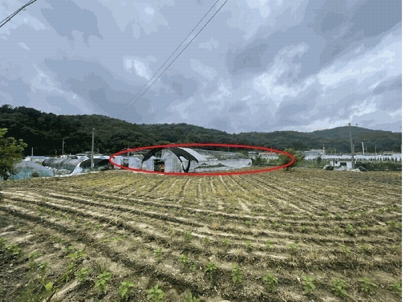 2025타경3712 대전광역시 유성구 세동 117 농지 경매 이미지