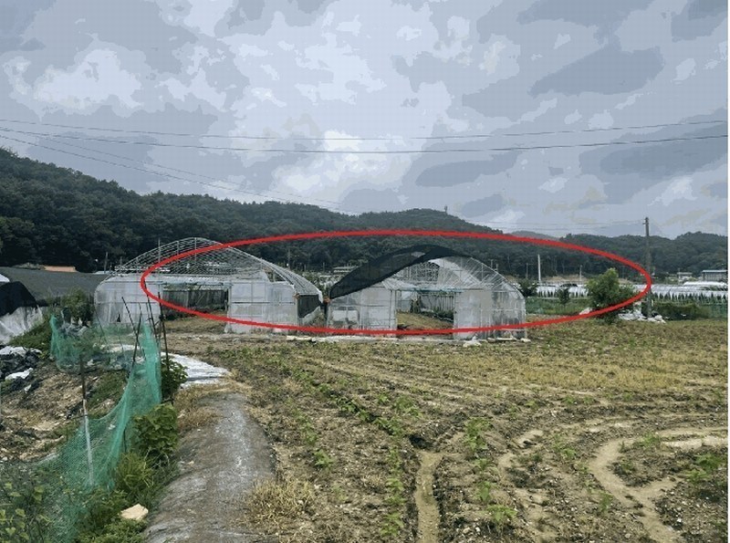 2025타경3712 대전광역시 유성구 세동 117 농지 경매 이미지