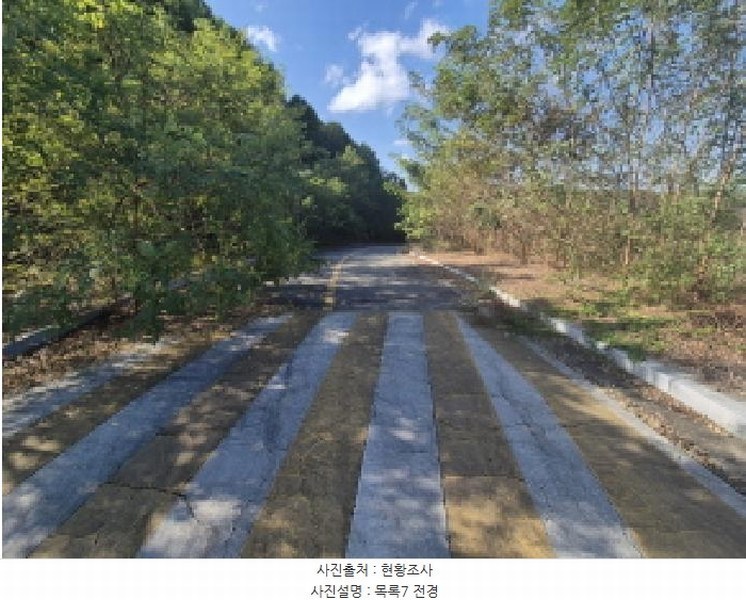 2025타경3860 세종특별자치시 연동면 내판리 337-49 대지 경매 이미지