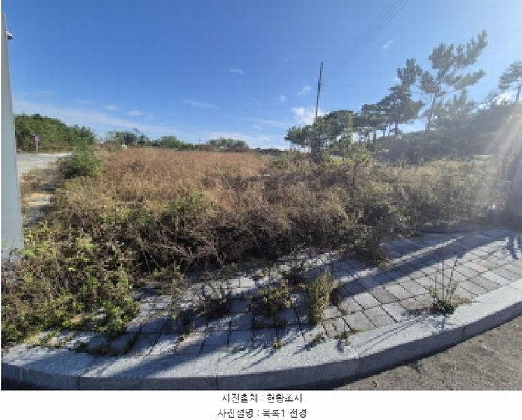 2025타경3860 세종특별자치시 연동면 내판리 337-49 대지 경매 이미지