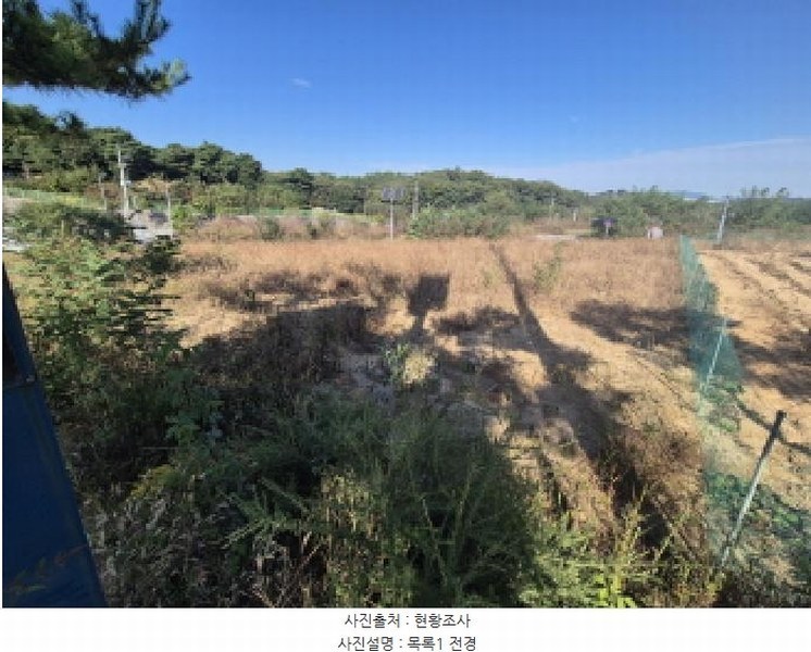 2025타경3860 세종특별자치시 연동면 내판리 337-49 대지 경매 이미지