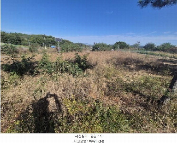 2025타경3860 세종특별자치시 연동면 내판리 337-49 대지 경매 이미지
