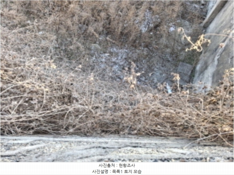 2025타경500018 대전광역시 중구 대사동 225-1 대지 경매 이미지