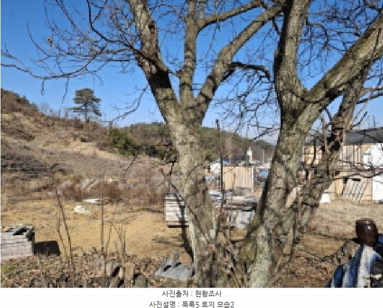 2025타경500940 대전광역시 서구 오동 314 주택 경매 이미지