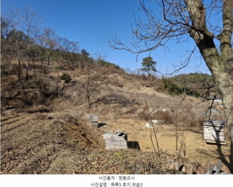 2025타경500940 대전광역시 서구 오동 314 주택 경매 이미지
